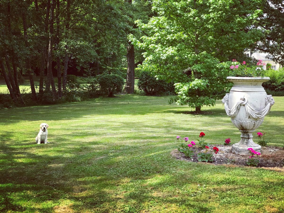 Chambre D'Hote Manoir De Clairbois Larcay Exterior foto